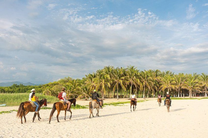 A group of people riding horses on a sandy beach with palm trees in the background. 4