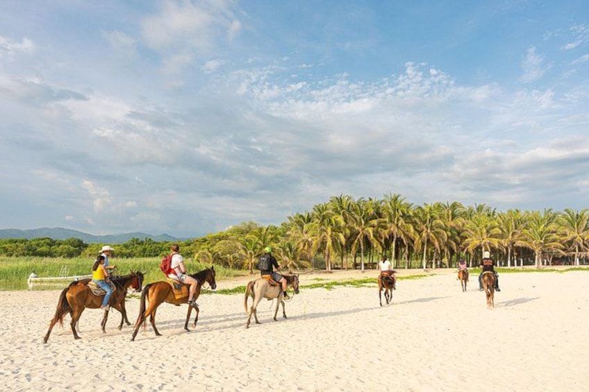 People riding horses on a sandy beach with palm trees in the background. 5