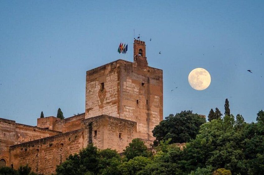 From Almeria: Alhambra and Granada Private Daytrip 4