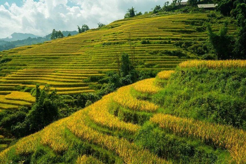 Sapa Private Car Service – Half Day and Full Day with English-speaking Driver 5