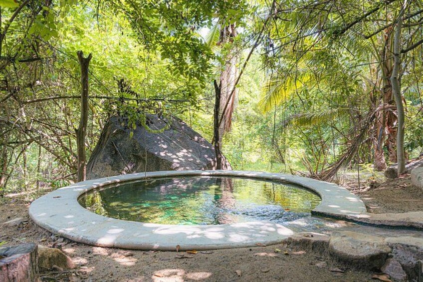 Une piscine circulaire en pierre, entourée d’arbres dans une zone boisée. 2