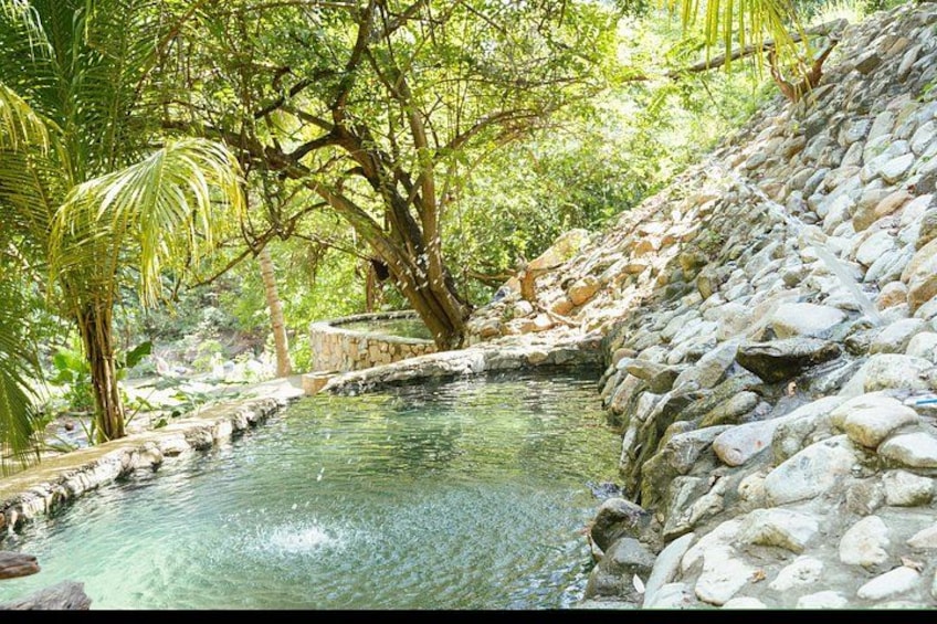 Une piscine naturelle entourée de rochers et de palmiers. 3