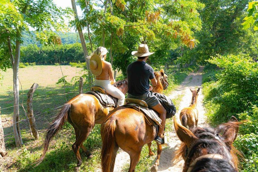Deux personnes à cheval, sur un chemin de terre bordé de verdure. 1