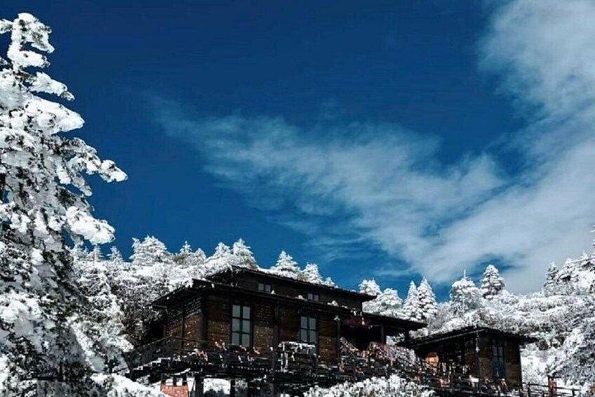 A wooden cabin surrounded by snow-covered trees under a clear blue sky. 3