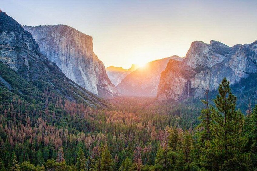 Enchanting Yosemite National Park Tour from San Francisco 4