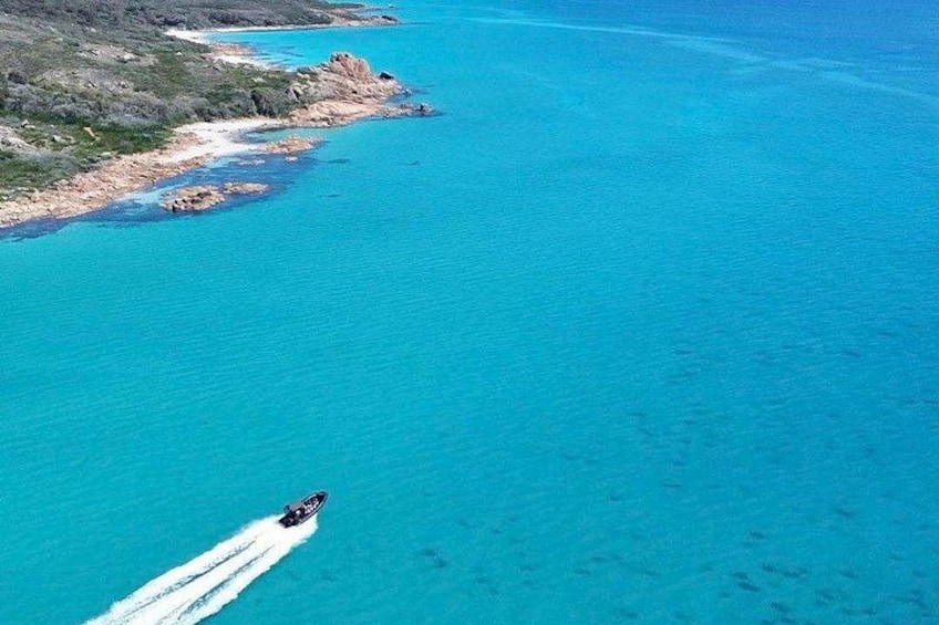 Un bateau filant à toute vitesse sur une mer turquoise, avec une côte rocheuse en arrière-plan. 1