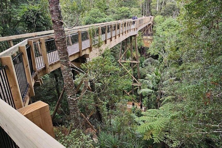 Un pont en bois situé dans une zone boisée. 4