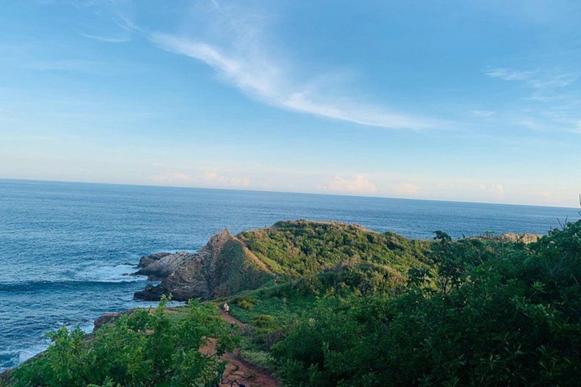 Un paisaje costero con un afloramiento rocoso y abundante vegetación. 5