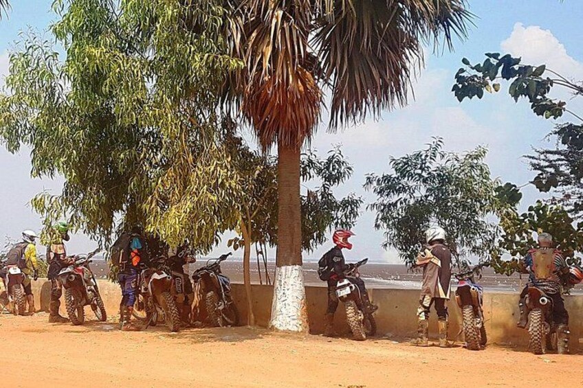 A group of motorcyclists parked near a beach with palm trees and a clear sky. 5