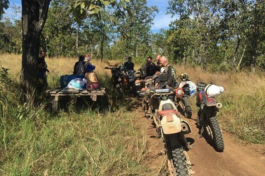 A group of people on a dirt road with off-road vehicles, surrounded by trees. 3