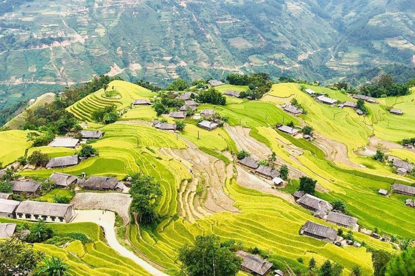 Terraced rice fields, traditional houses, and a mountainous landscape. 1