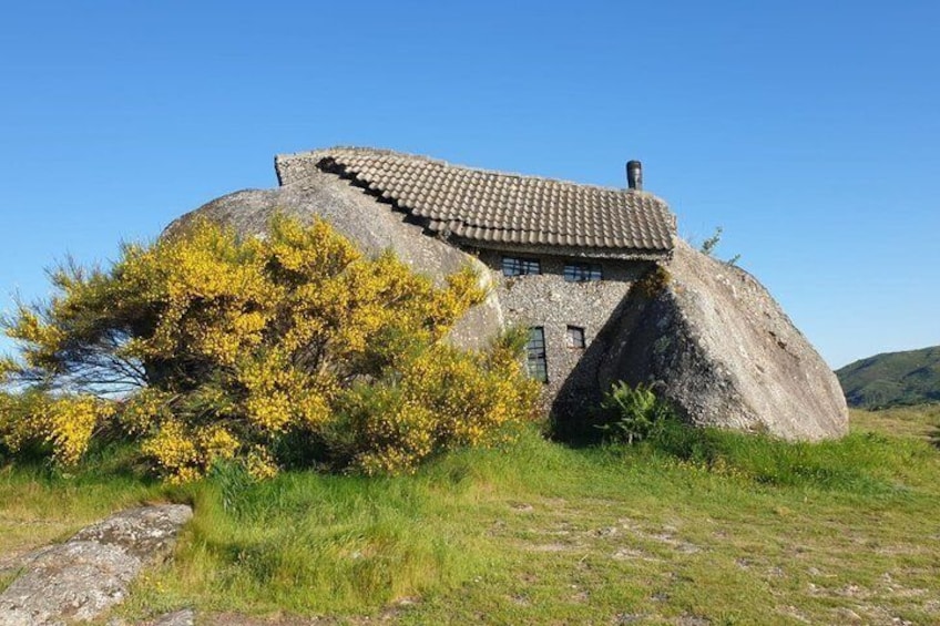 Ein Haus auf einem Felsen mit einem Ziegeldach, umgeben von Gras und gelben Blumen. 3
