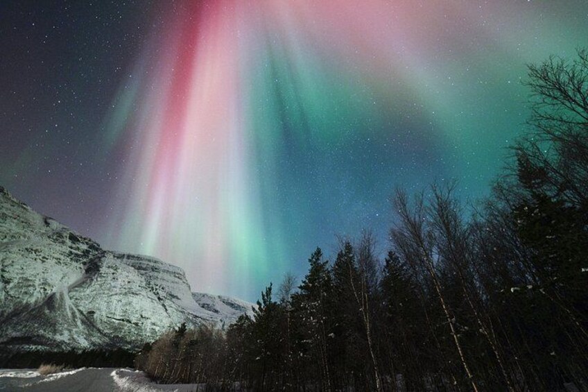 Northern Lights Tour with Hello Tromsø 2
