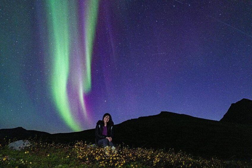 Una persona seduta su una collina sotto un cielo notturno con l'aurora boreale. 4