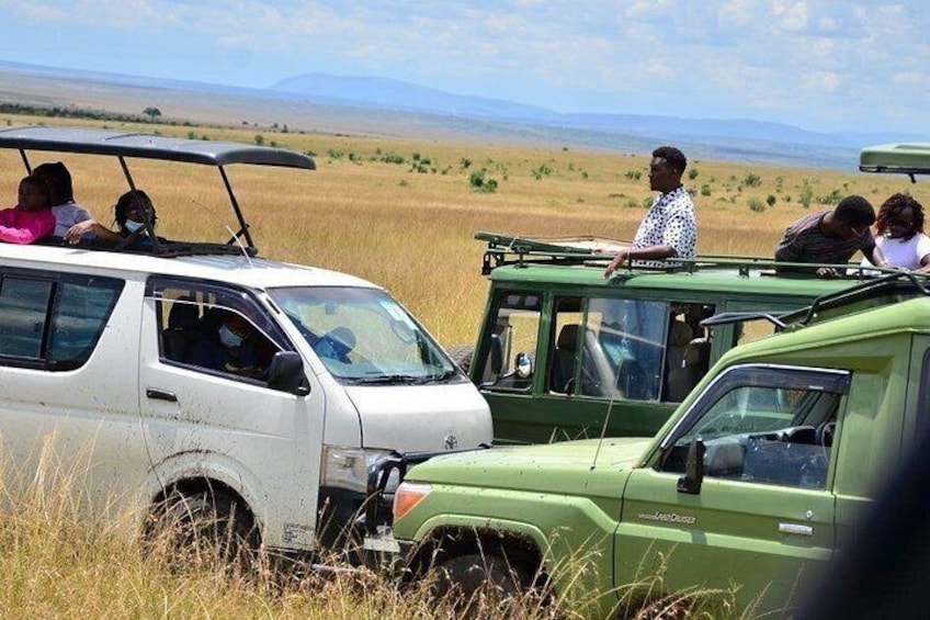 A safari vehicle with passengers, a green vehicle with a roof rack, and a white vehicle in a grassy field with distant mountains. 5