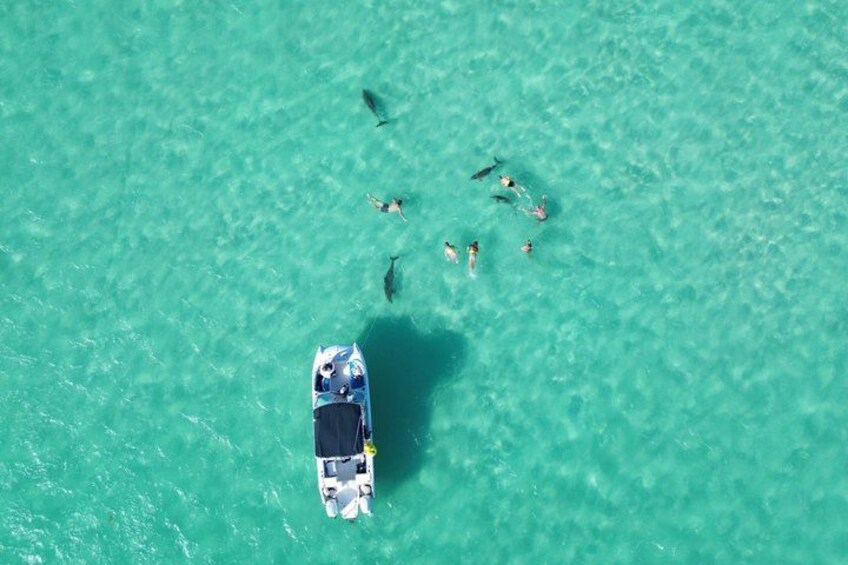 A boat with people snorkeling in turquoise water. 5