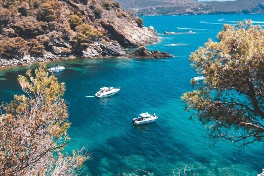 Adventure in the Cap de Creus Discover and Bathe in a Wild Cove 4
