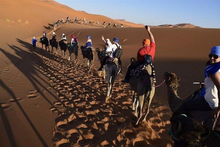 Un groupe de personnes chevauche des chameaux à travers un paysage sablonneux. 5