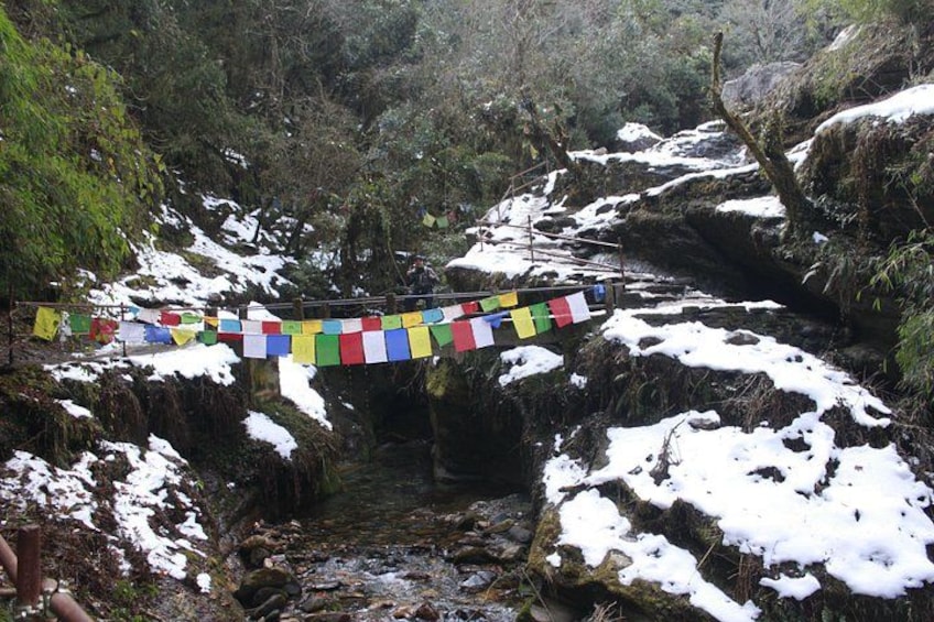 Un arroyo nevado con rejas de oración. 5