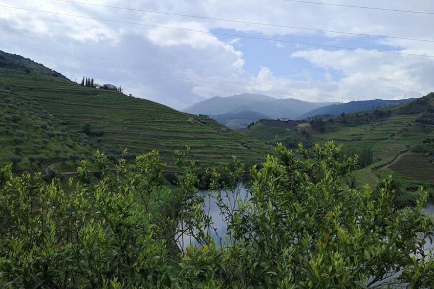 Douro Valley: Premium Private Tour (All Inclusive) 2