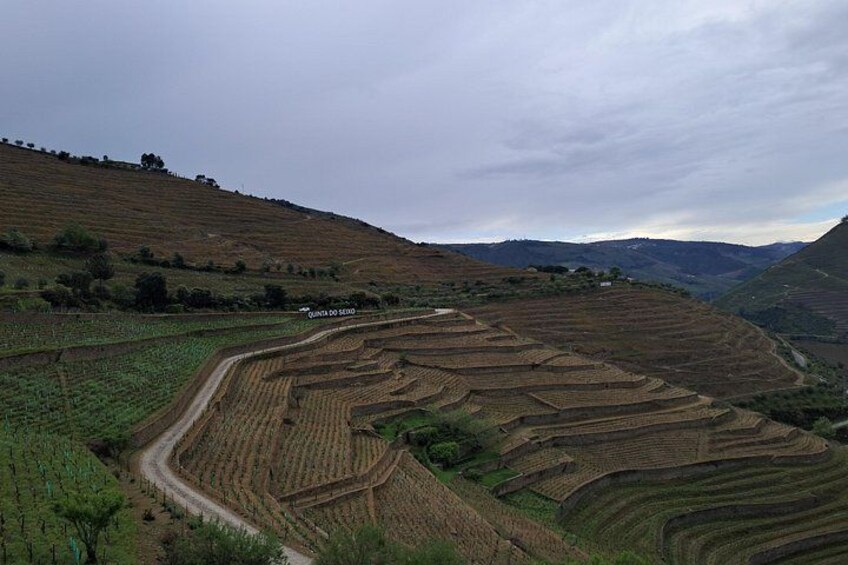 Douro Valley: Premium Private Tour (All Inclusive) 5