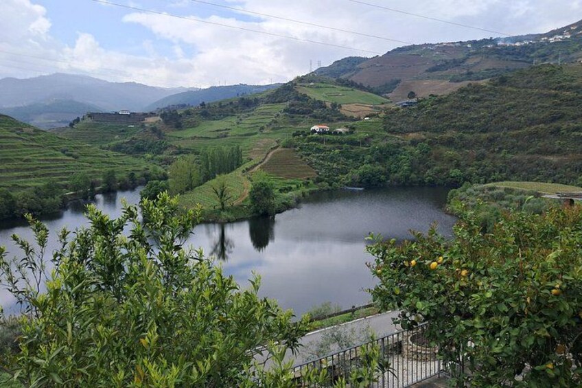 Douro Valley: Premium Private Tour (All Inclusive) 3