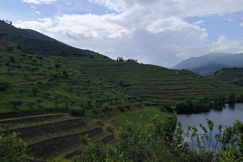 Douro Valley: Premium Private Tour (All Inclusive) 4