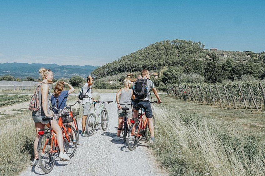 A group of cyclists on a gravel path with vineyards in the background. 2