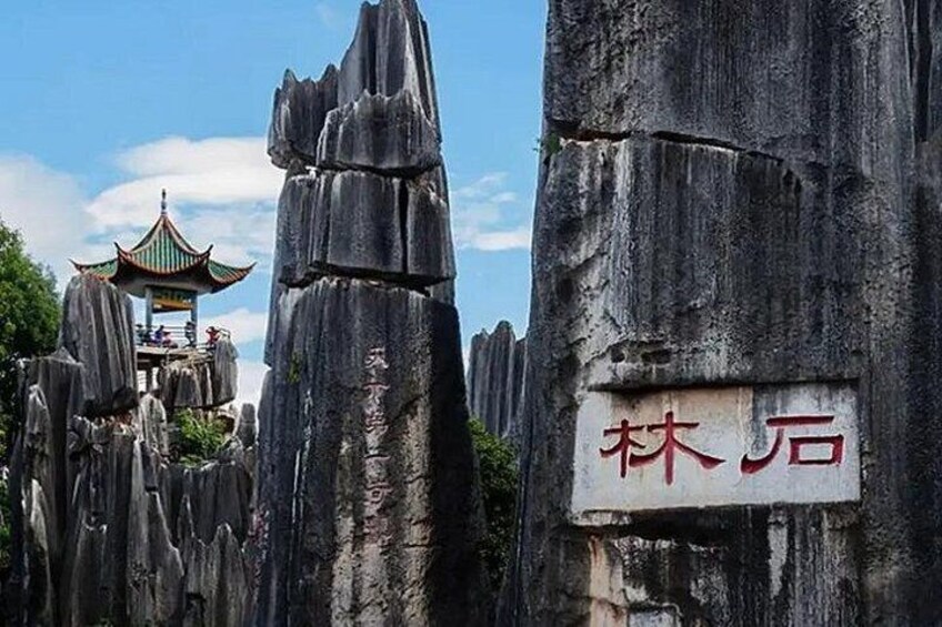 Stone Forest + Yiliang Roast Duck + Kunming City Private Tour 5