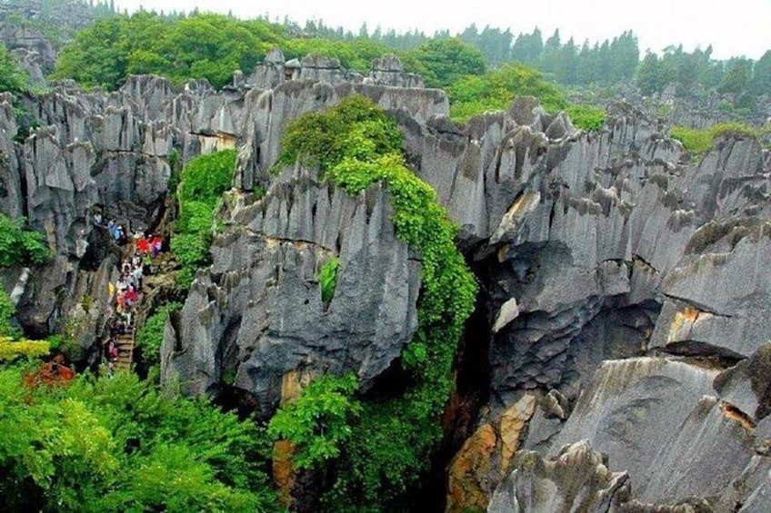 Stone Forest + Yiliang Roast Duck + Kunming City Private Tour 1
