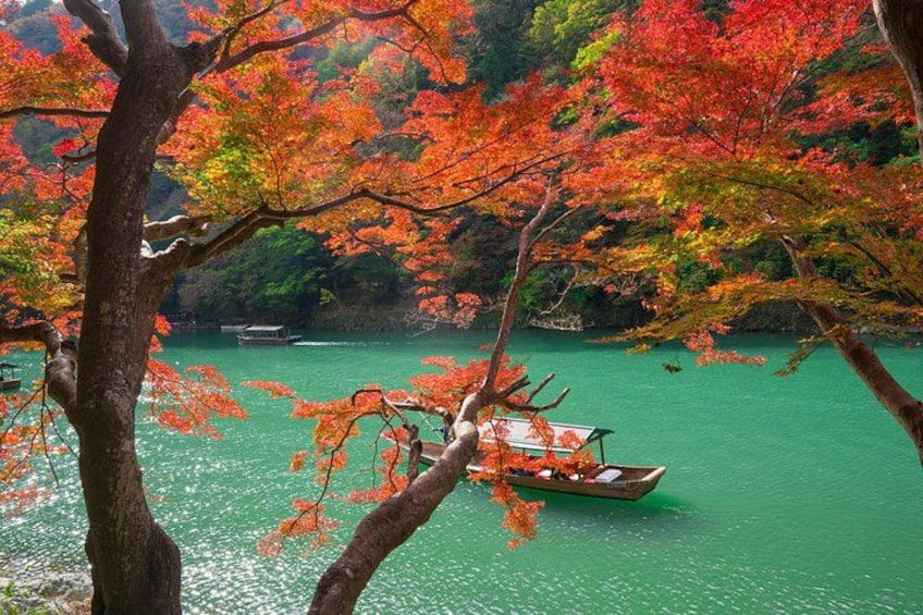 From Kyoto / Osaka: Kyoto Must-see Spots & Nara Park One Day Tour 3
