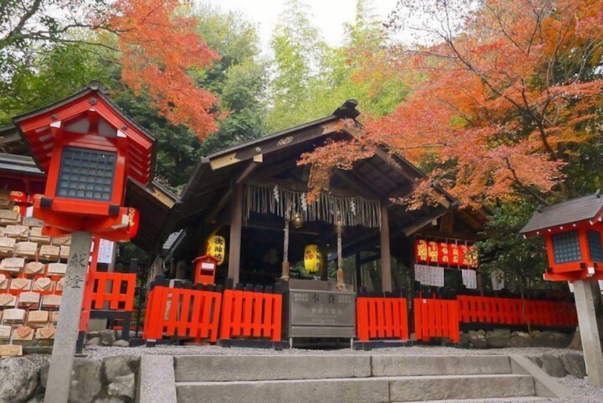 From Kyoto / Osaka: Kyoto Must-see Spots & Nara Park One Day Tour 4