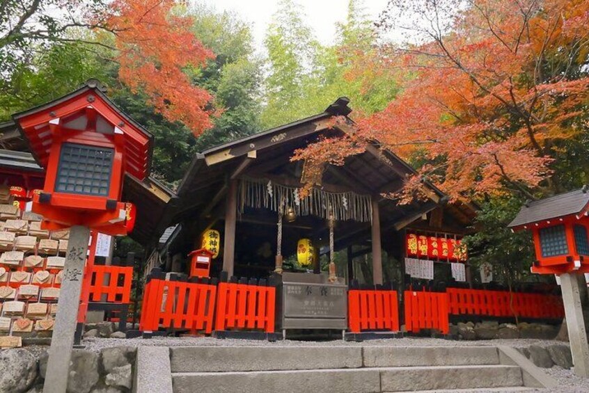 From Kyoto / Osaka: Kyoto Must-see Spots & Nara Park One Day Tour 2