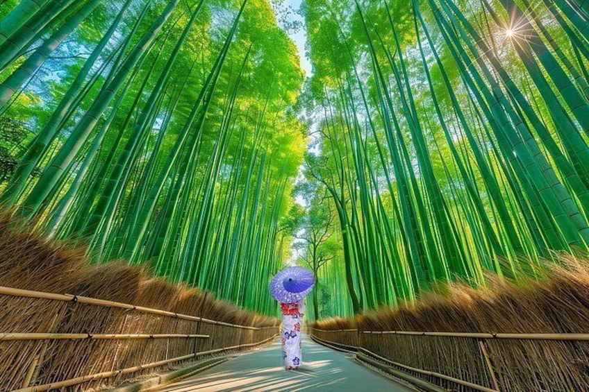 From Kyoto / Osaka: Kyoto Must-see Spots & Nara Park One Day Tour 1