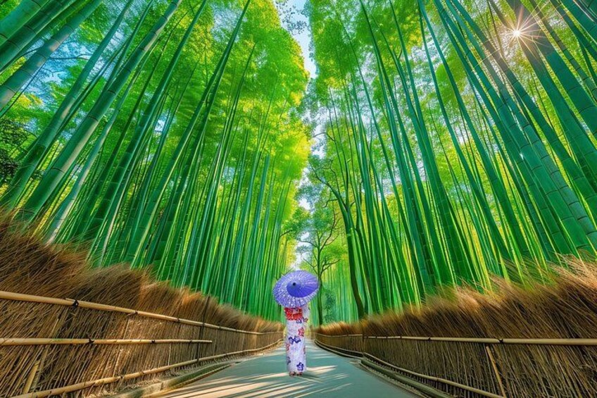 From Kyoto / Osaka: Kyoto Must-see Spots & Nara Park One Day Tour 1