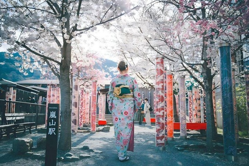 From Kyoto / Osaka: Kyoto Must-see Spots & Nara Park One Day Tour 2