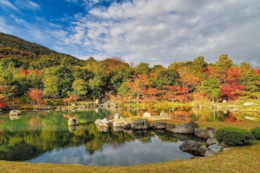 From Kyoto / Osaka: Kyoto Must-see Spots & Nara Park One Day Tour 3