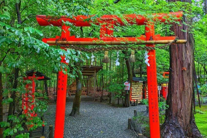 From Kyoto / Osaka: Kyoto Must-see Spots & Nara Park One Day Tour 3