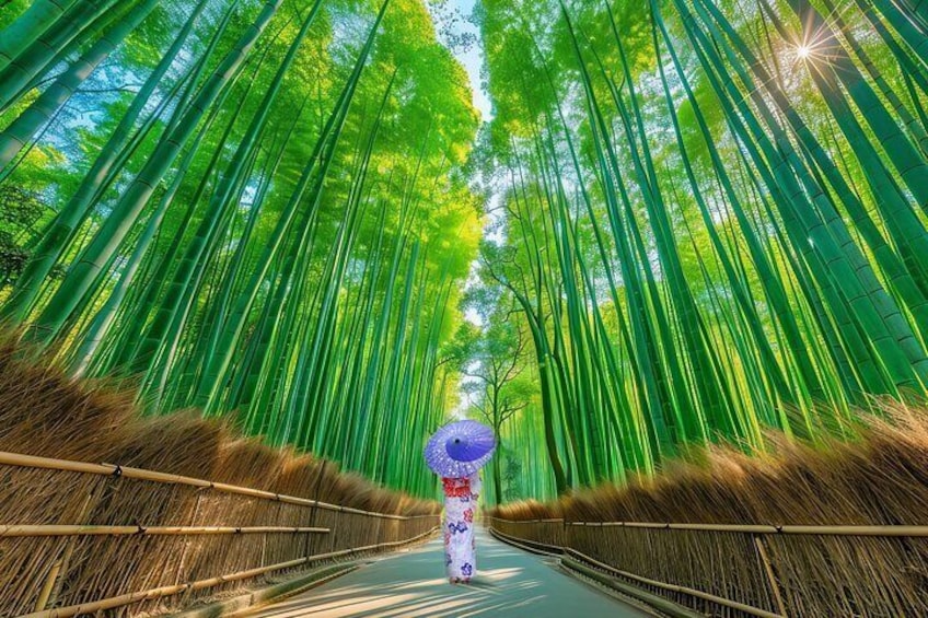 A bamboo forest with a person holding an umbrella. 2