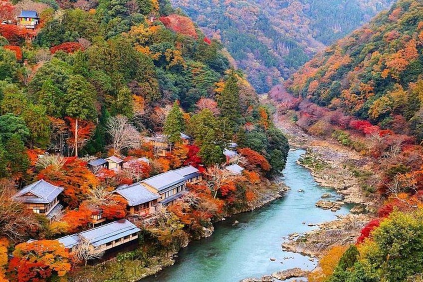 From Kyoto / Osaka: Kyoto Must-see Spots & Nara Park One Day Tour 4