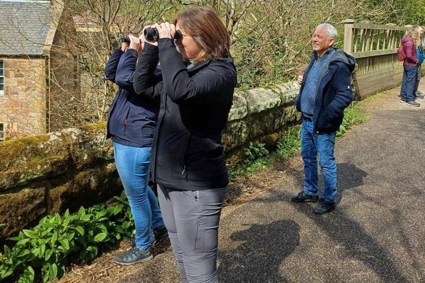 People taking photographs, a stone wall, and a paved path. 1