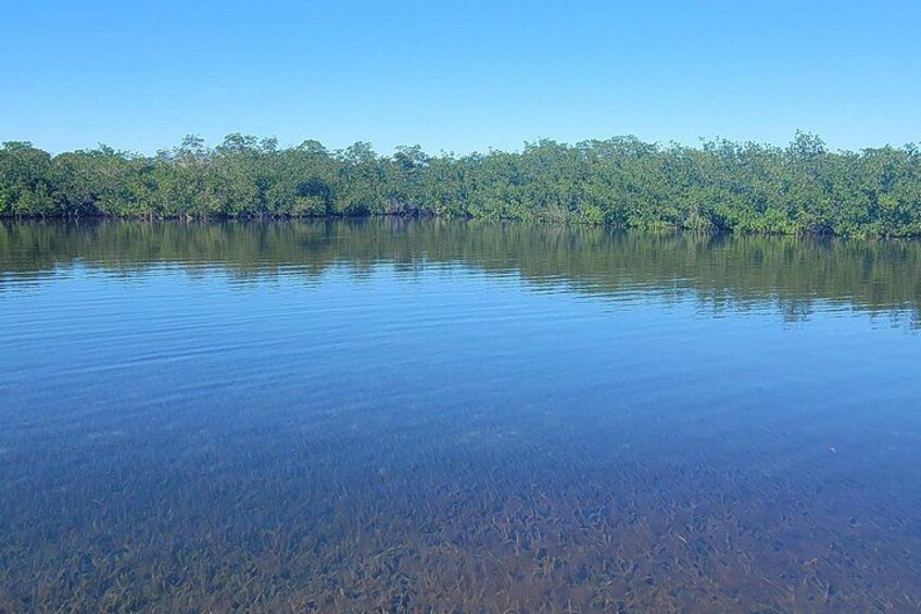 Saltwater Lagoon 2