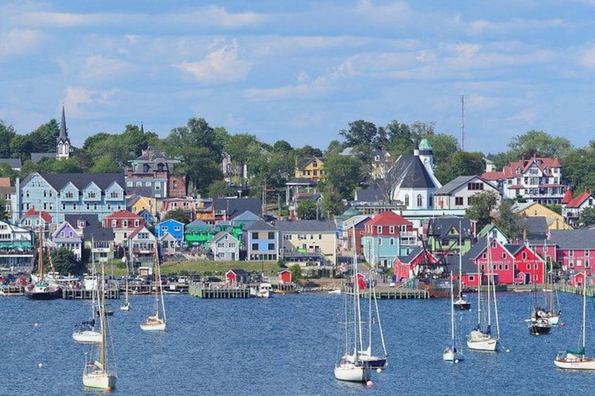 En hamn med färgglada hus och segelbåtar. 5