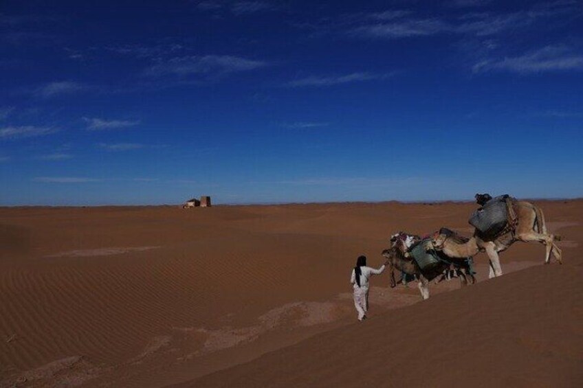 Desert Tour from agadir 1 night 3