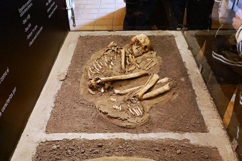 Una exhibición esquelética en un museo. 2