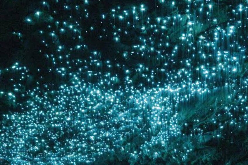 Eine dichte Ansammlung kleiner, leuchtender Lichter vor dunklem Hintergrund. 4