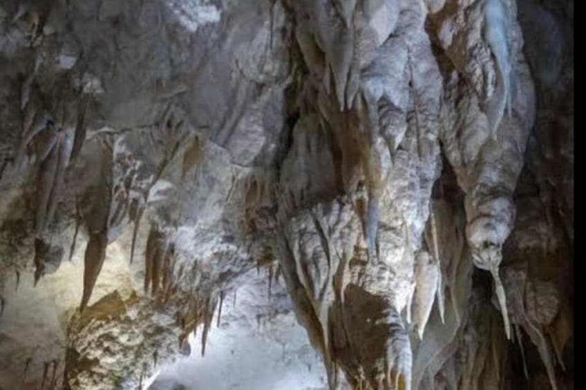 Eine Höhle mit von der Decke hängenden Stalaktiten. 3