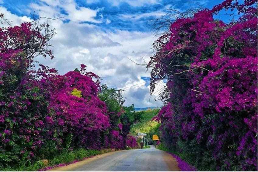Fuxian Lake Scenic Area Private Tour 4
