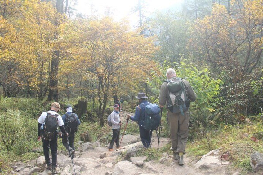 A group of hikers on a rocky trail in a forested area with yellow foliage. 5