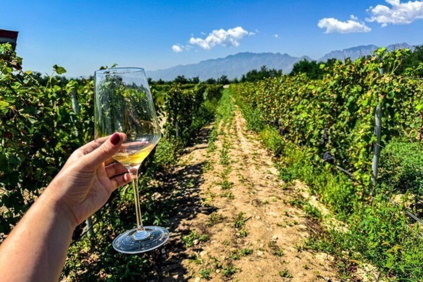 3-Day 2-Nignt Wine Taste Through China's Wine Region of Ningxia 3